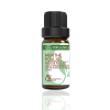 Huile Essentielle MENTHE POULIOT